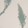 Fabre's Moth (sixth sense), page detail
