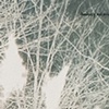 Fabre's Moth (sixth sense), page detail