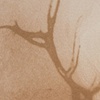 Westward Expansion, page detail
