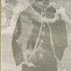 Westward Expansion, page detail
