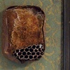 Hive ii