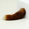 Fox in Box