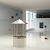 Installation at Times Museum, Guangzhou, China with, Preggers, Fox in Box, Crush, and Cage