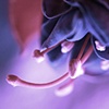 The fate of flowers..........