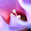 With thy soul.........