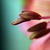 Touch
