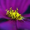 Out of the Deep Dark Blue..........