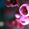 Mother Natures Song 