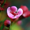 Mother Natures Song II