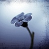 Darlin do not fear what you dont really know...