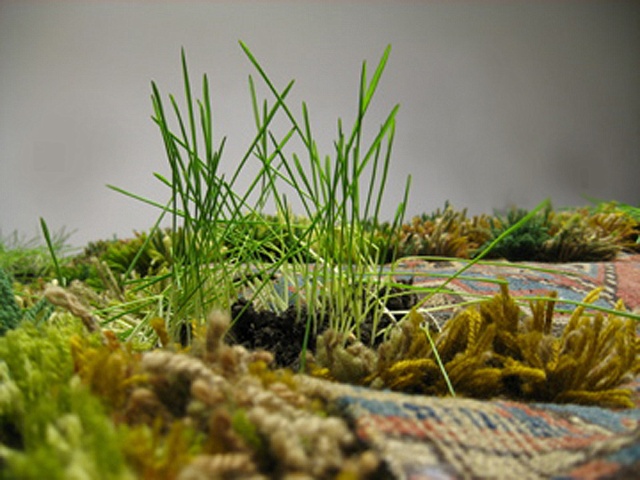 Detail Untitled