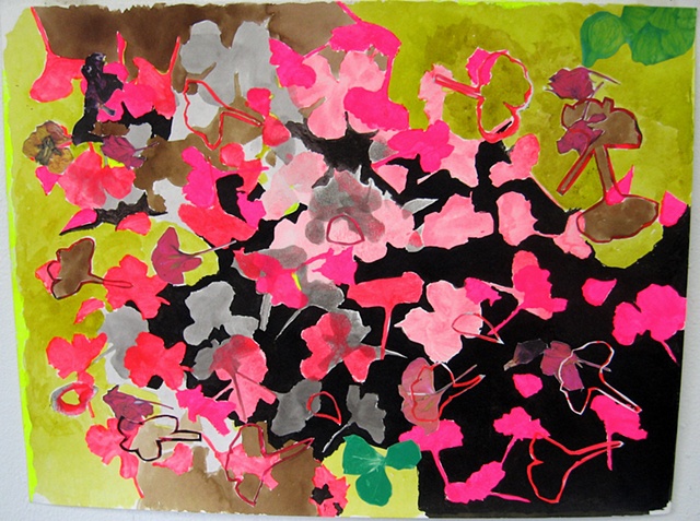 Fuchsia 5