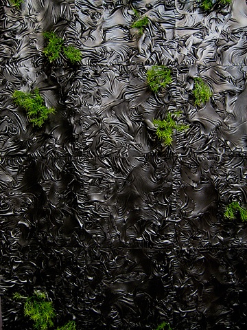 Untitled (Garden)