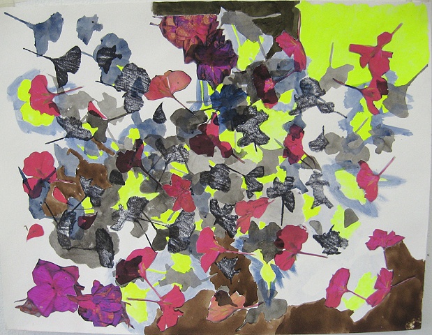Fuchsia 4