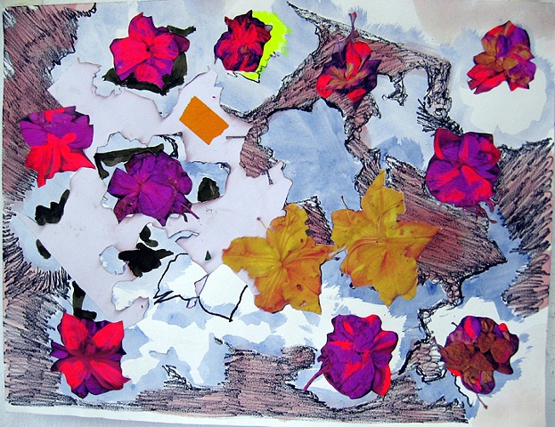 Fuchsia 2
