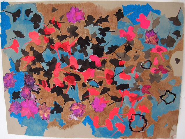 Fuchsia 7