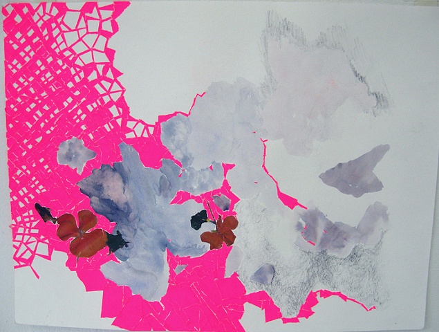 Fuchsia 6