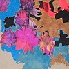 Fuchsia 7