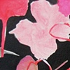Detail 2 Fuchsia 5