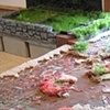 detail: untitled (garden 2008)