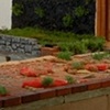 untitled (garden)