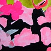Detail 1 Fuchsia 5
