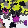 Fuchsia 3