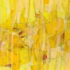 falling petals and unicyclists