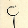 Poppy