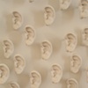 I Know You Hear Me, But Are You Listening-detail