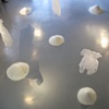 POISE Installation 