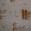 Past