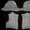 Disassembled Past 