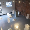 POISE Installation