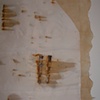 Past