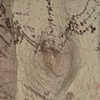 Longitude and Latitude