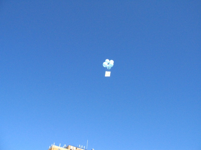 SkyBeautificationCo. Send Off 1a