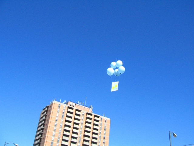 SkyBeautificationCo. send off 1