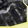 2010