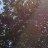 "SkyBeautificationCo." Send Off 2