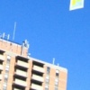 SkyBeautificationCo. send off 1