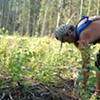 Dan Planting