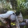 Treeplanting