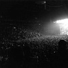 crowd (oasis) 