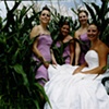 Weddings