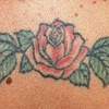Kris's back before