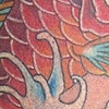 Claudia's Koi 