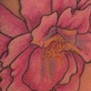 Claudia's Flower 