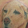 max portrait