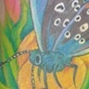 Susan's Butterfly